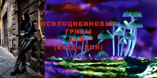 молекула духа Артём