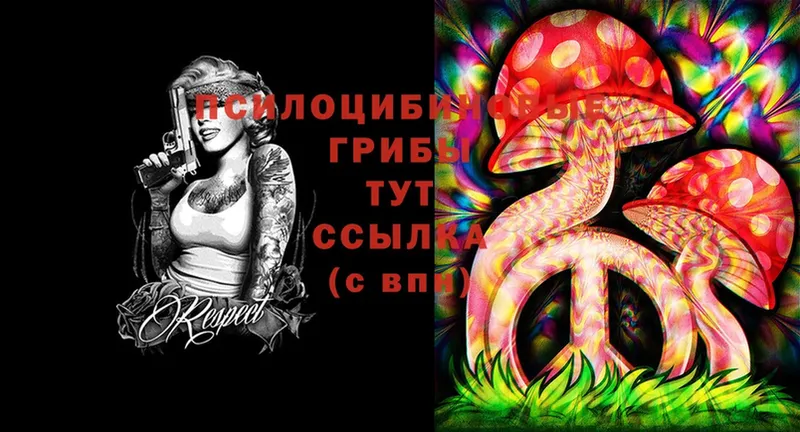 сколько стоит  Дмитровск  Псилоцибиновые грибы Cubensis 