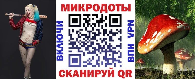как найти Дмитровск Галлюциногенные грибы мухоморы
